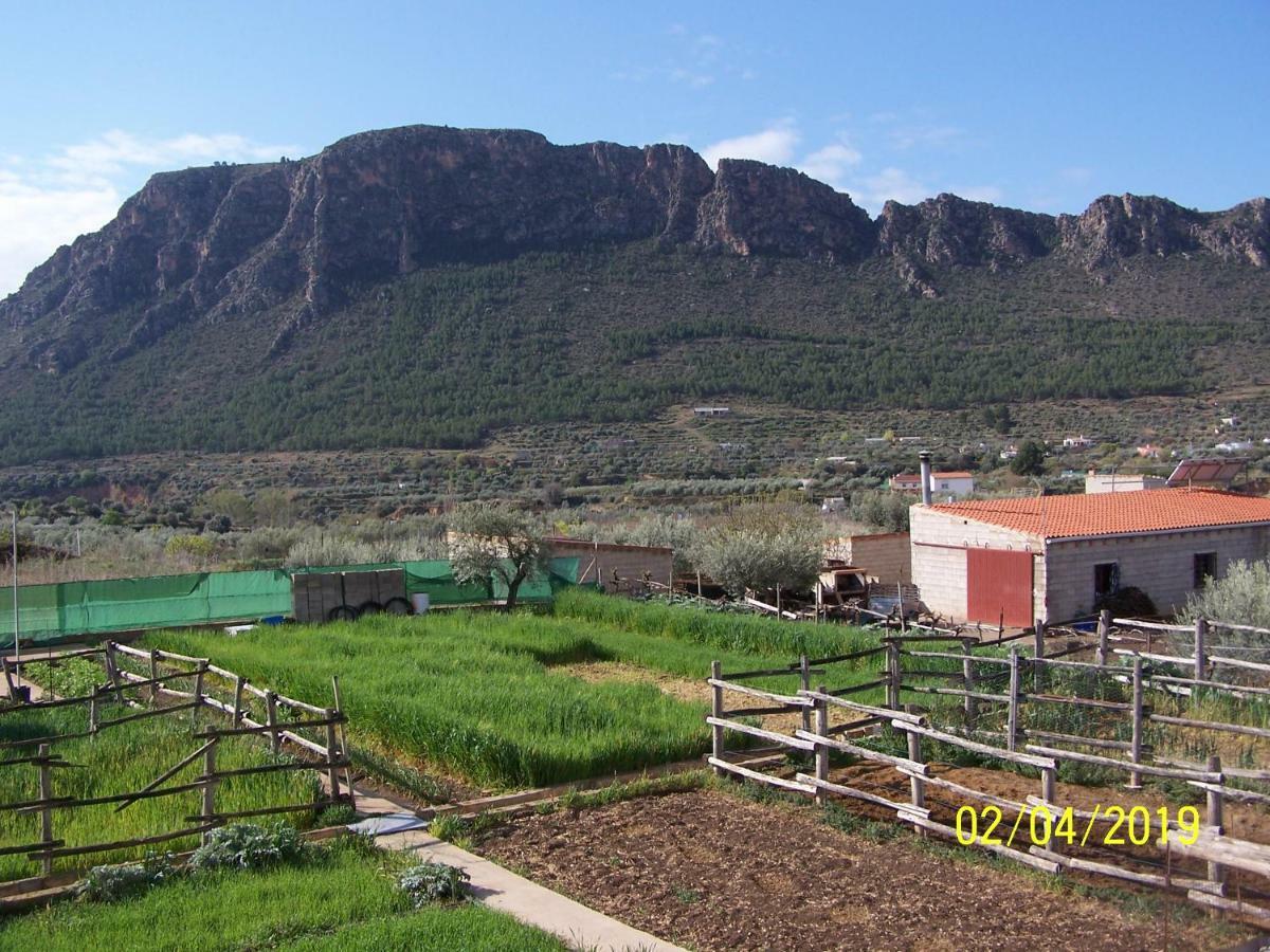 Altozano *
